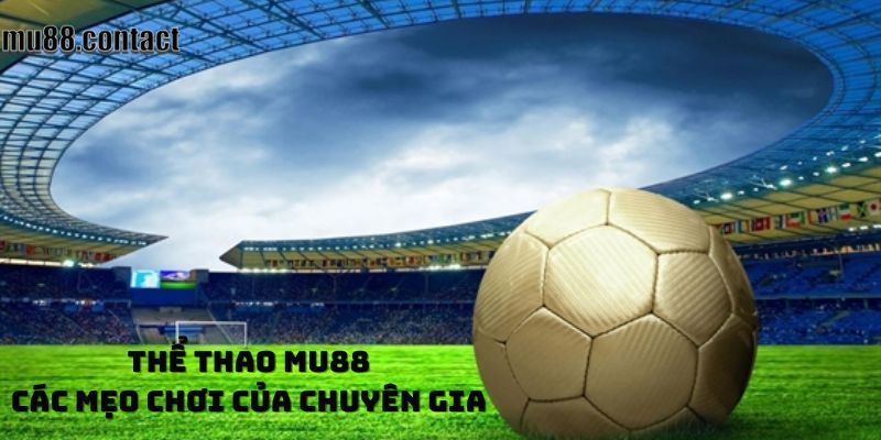 Mẹo chơi của chuyên gia