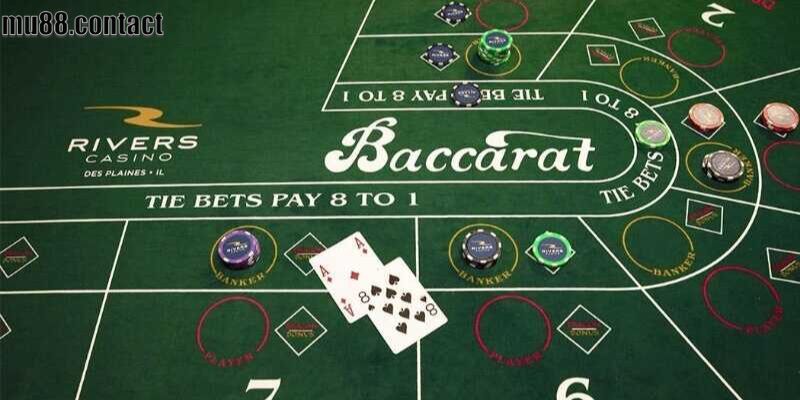 Thuật ngữ khi chơi Baccarat 